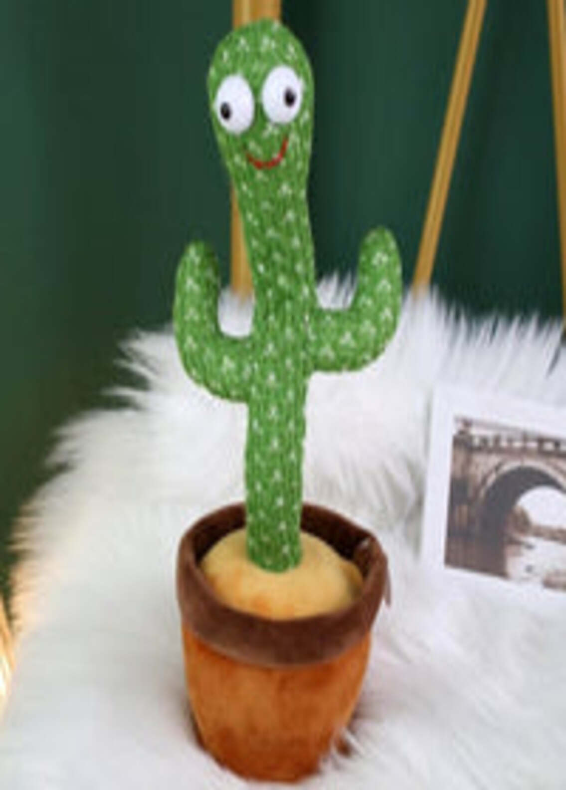 Dancing-cactus-ainshopping.com