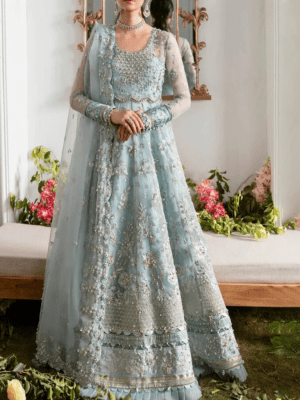Heavy Embroidered Organza Dress 2024