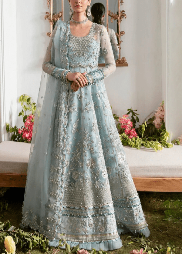 Heavy Embroidered Organza Dress 2024