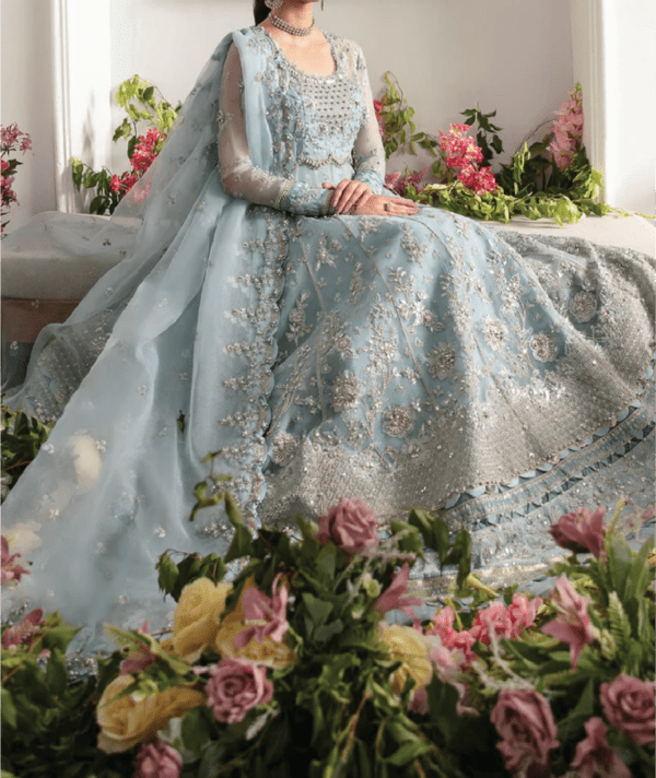 Heavy Embroidered Organza Dress 2024