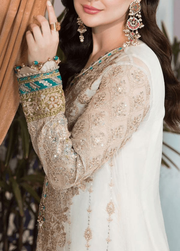 Embroidered Chiffon & Malai suit