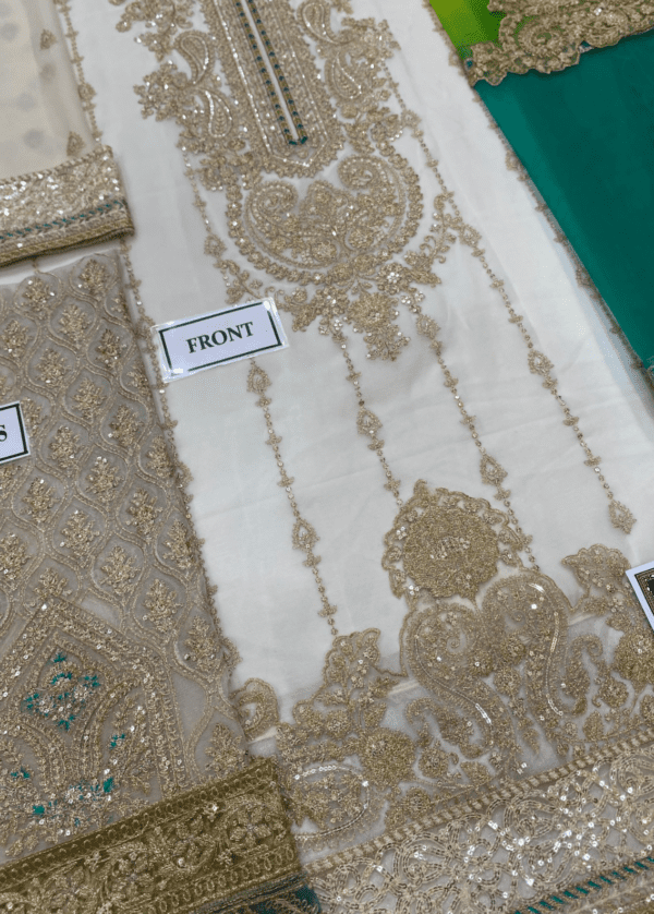 Embroidered Chiffon & Malai suit