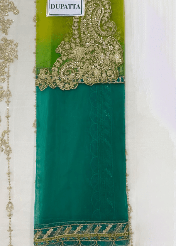 Embroidered Chiffon & Malai suit