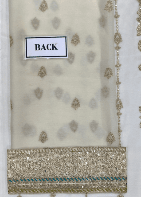 Embroidered Chiffon & Malai suit