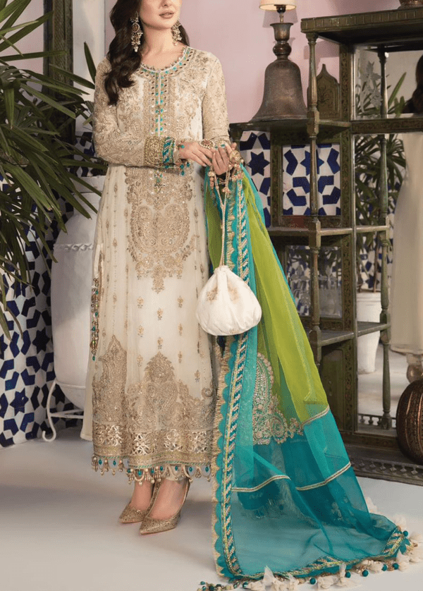 Embroidered Chiffon & Malai suit