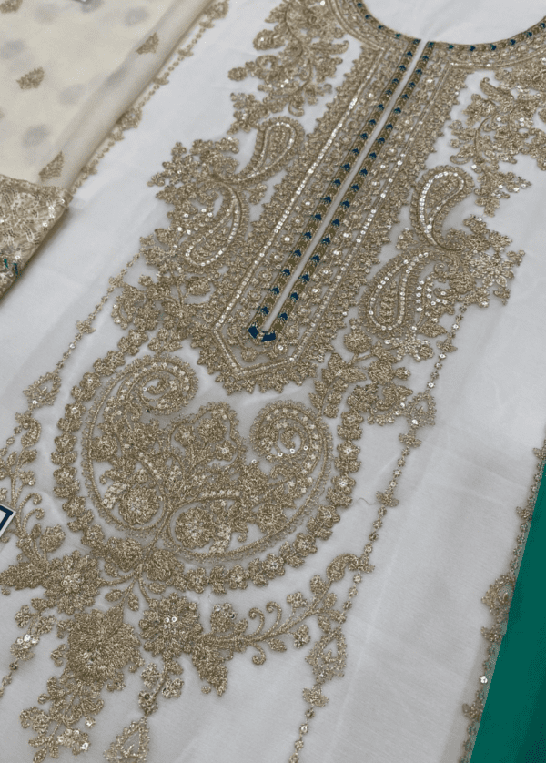 Embroidered Chiffon & Malai suit