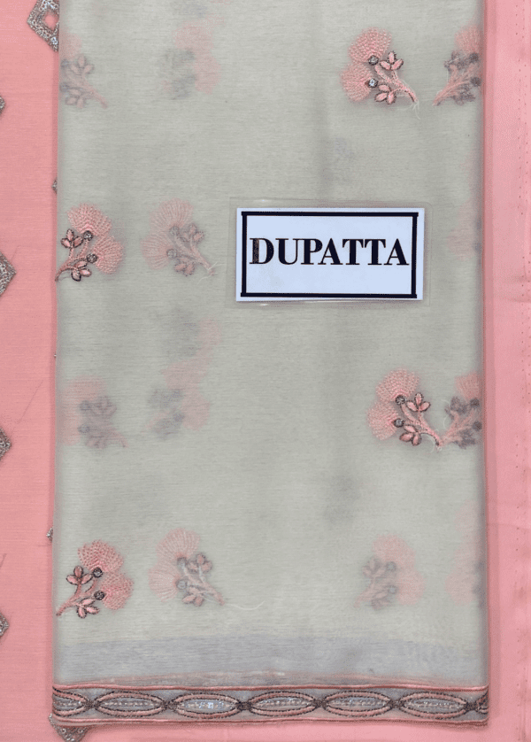 Organza Embroidered Chiffon & Malai Trouser