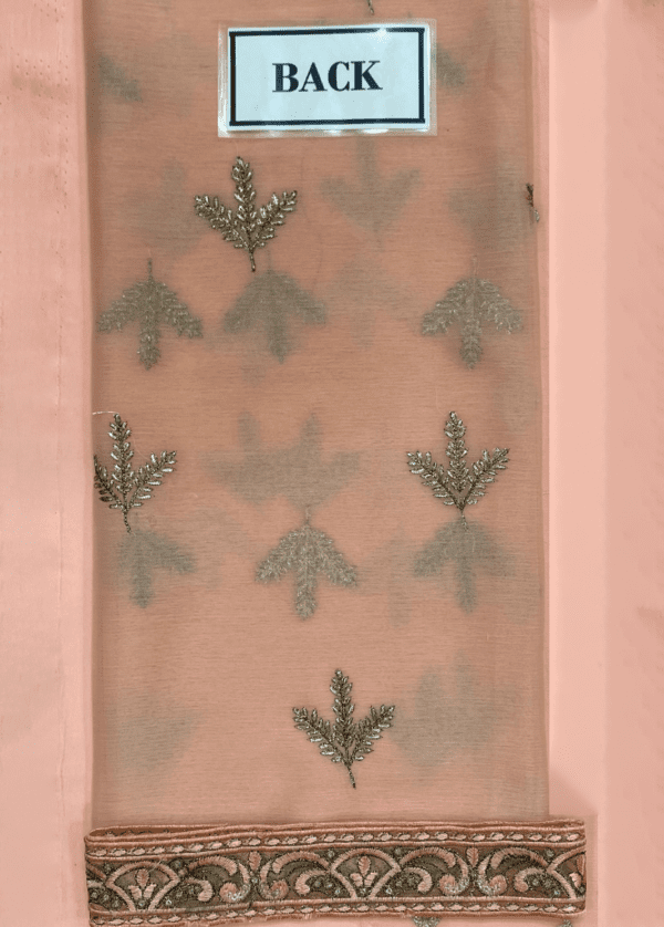 Organza Embroidered Chiffon & Malai Trouser