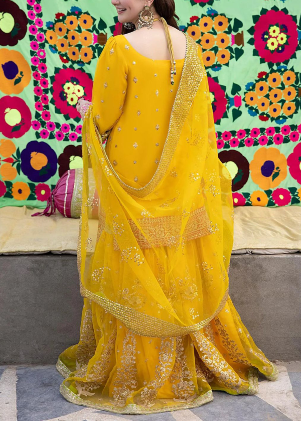 Embroidered Organza Gharara - Wedding Dresses