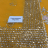 Embroidered Organza Gharara - Wedding Dresses