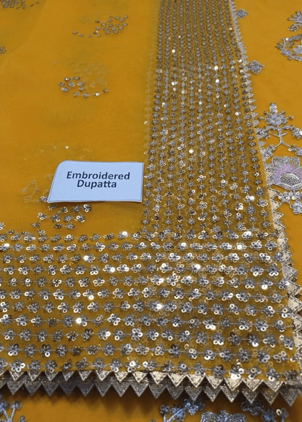 Embroidered Organza Gharara - Wedding Dresses