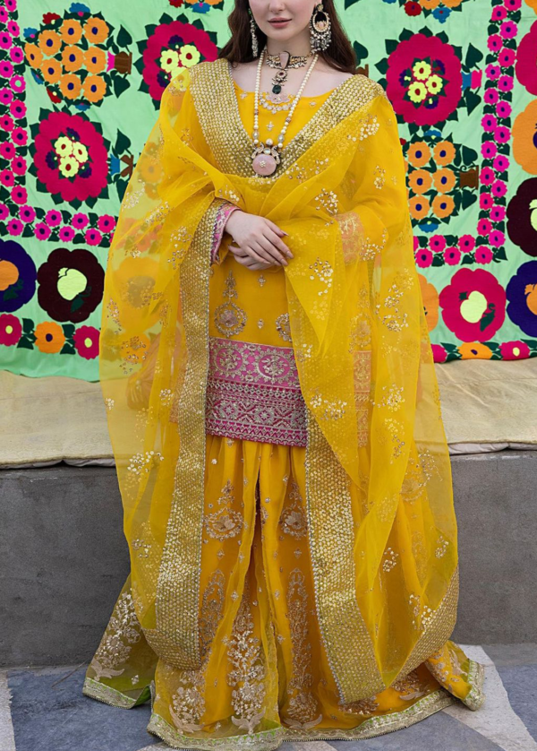 Embroidered Organza Gharara - Wedding Dresses