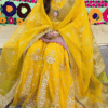 Embroidered Organza Gharara Overview