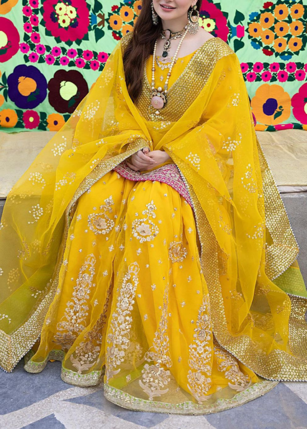 Embroidered Organza Gharara Overview