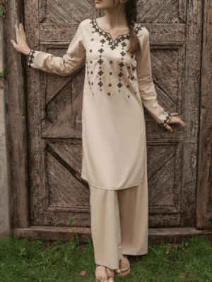 Readymade Embroidered 2 piece Suit - Pret Collection