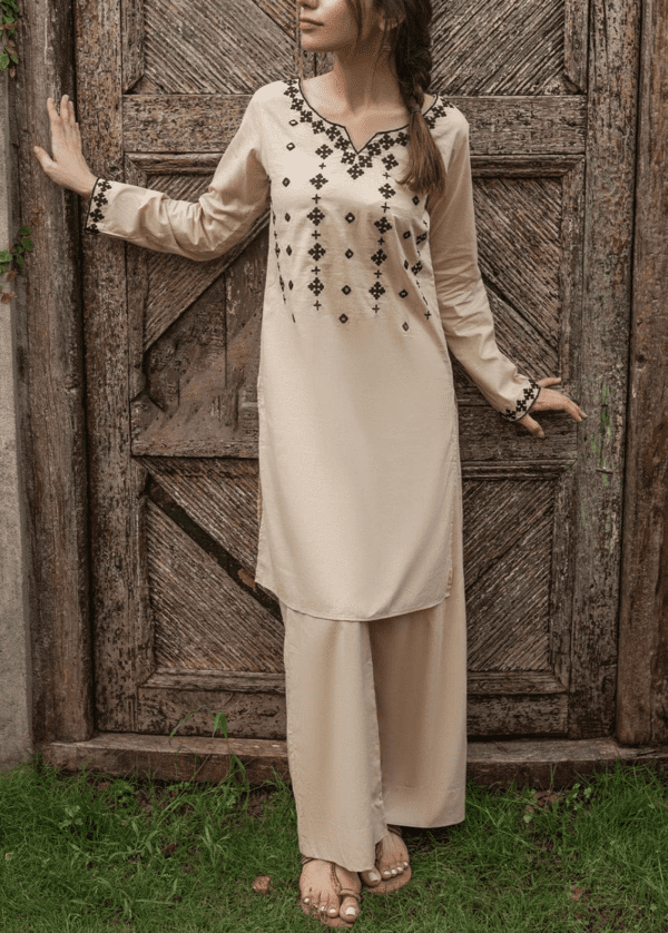 Readymade Embroidered 2 piece Suit - Pret Collection