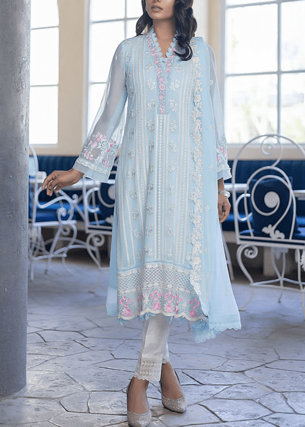 Embroidered Chiffon & Malai Trouser Party Wear