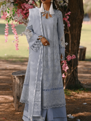 lawn heavily Embroidered Schiffli Dress | Eid Collection