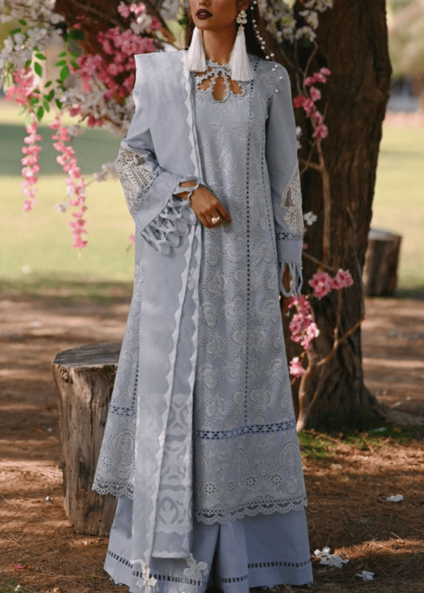 lawn heavily Embroidered Schiffli Dress | Eid Collection