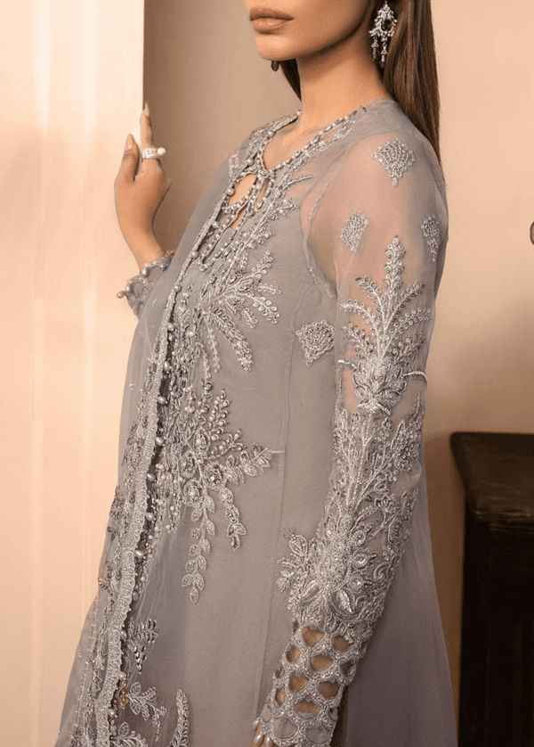 Heavy Embroidered Organza Eid Dress