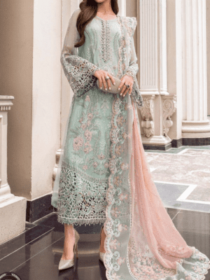 Fully heavy embroidered chiffon dress party wear