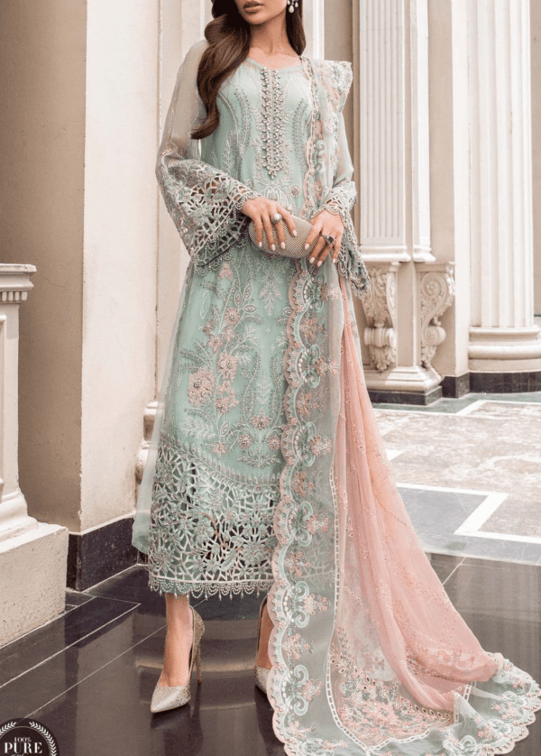 Fully heavy embroidered chiffon dress party wear