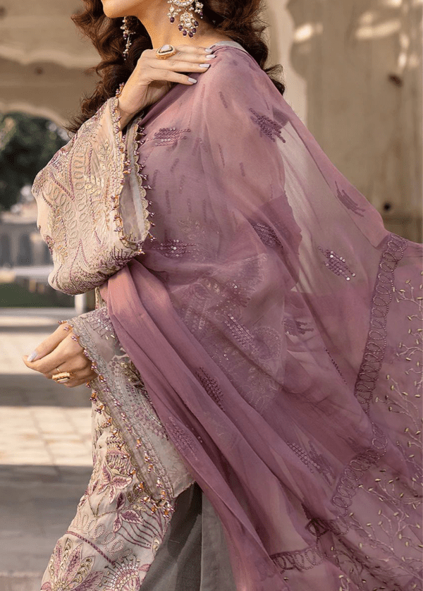 Shop from Our Latest Chiffon Embroidered Collection