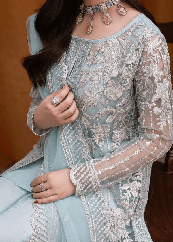 Embroidered Chiffon with a touch of Organza-2025collection