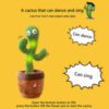 Dancing-cactus-ainshopping.com
