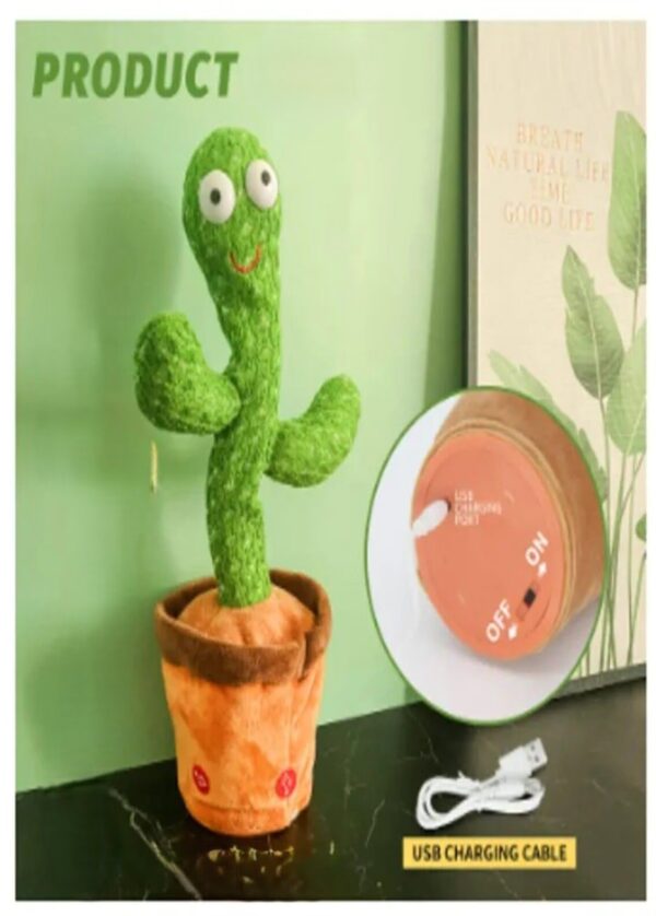 Dancing-cactus-ainshopping.com